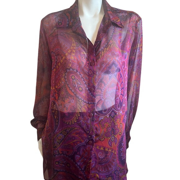 Vintage Barbara Lesser  Sheer Tunic Blouse Size XL - Picture 2 of 9
